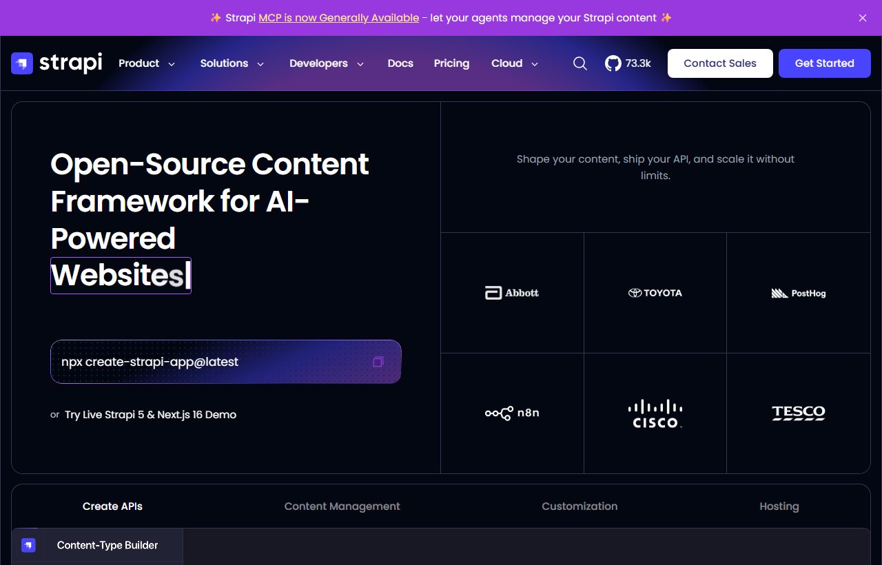Strapi website