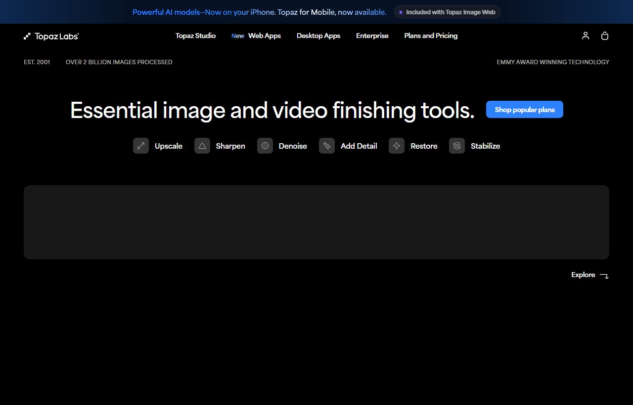 Topaz Labs preview