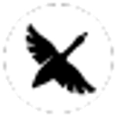 goose logo
